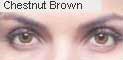 Chestnut Brown